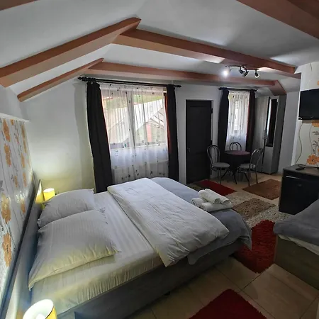 Gazde/Camere de închiriat Casa Miclau