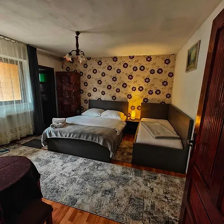 Gazde/Camere de închiriat Casa Miclau