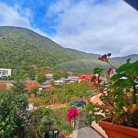 Gazde/Camere de închiriat Casa Miclau Băile Herculane