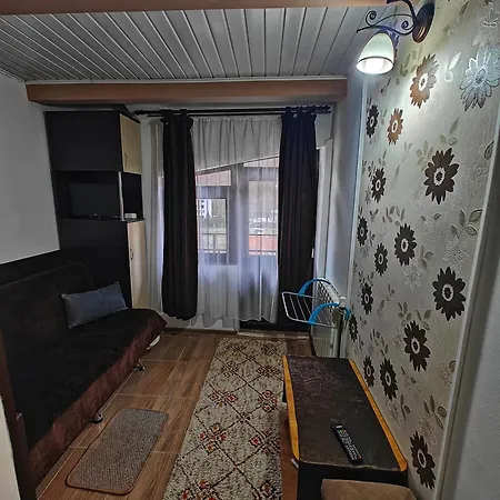 Gazde/Camere de închiriat Casa Miclau Băile Herculane
