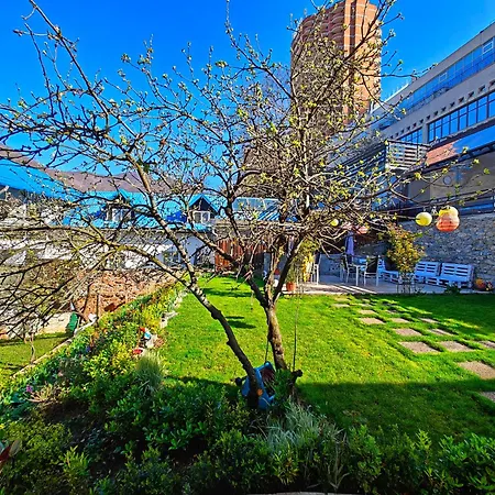 Casa Miclau Gazde/Camere de închiriat *