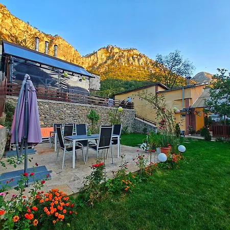 Gazde/Camere de închiriat Casa Miclau Băile Herculane